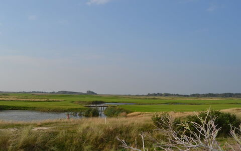 Akim - 2Km from the Sea: Himmel, Grün, Natürlichen Umgebung, Natürliche Landschaft, Wiese, Sumpf, Einfach, Ökoregion, Horizont