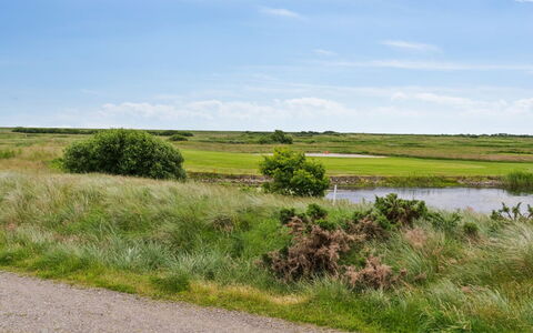 Akim - 2Km from the Sea: Himmel, Grün, Gras, Natürlichen Umgebung, Wiese, Natürliche Landschaft, Vegetation, Ökoregion, Wolke