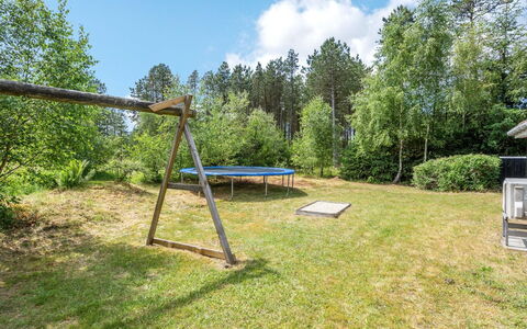 Granke - 3.8Km from the Sea: Grundstueck, Garten, Rasen, Schatten, Wald, Park, Hinterhof, Landscaping, Garten, Immergrün