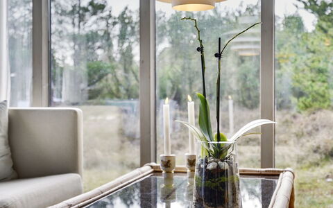 Saxi - 2.6Km from the Sea: Möbel, Interior Design, Stuhl, Flooring, Tabelle, Resort, Fussboden, Decke, Zimmer, Eco Hotel