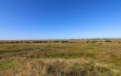 Alim - 300M from the Sea