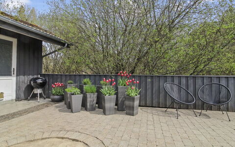 Vieno - 2.6Km from the Sea: Strauch, Blumentopf, Garten, Ground, Hinterhof, Garten, Zimmerpflanze, Landscaping, Hof