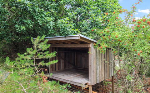 Svenja - 600M from the Sea: Holz, Pflanzengemeinschaft, Ökoregion, Schuppen, Wald, Naturschutzgebiet, Kofferraum, Dschungel, Gartenbauten, Hütte