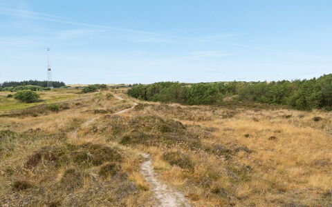 Reiko - 1.5Km from the Sea: Himmel, Gras, Natürlichen Umgebung, Wiese, Vegetation, Ökoregion, Horizont, Pflanzengemeinschaft, Wildnis, Grundstueck