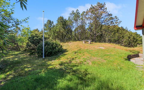Wyanet - 2.3Km from the Sea: Pflanzengemeinschaft, Sonnenlicht, Krautige Pflanze, Garten, Plantage, Landwirtschaft, Bauernhof