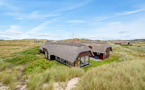 Nicolaus - from the Sea: Gras, Haus, Dach, Zuhause, Hütte, Strauch, Grundstueck, Ländliches Gebiet, Bauernhaus, Ground