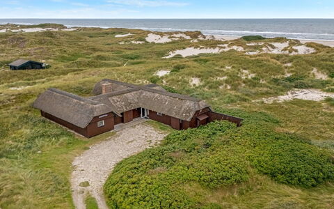 Nicolaus - from the Sea: Gras, Haus, Dach, Zuhause, Hütte, Strauch, Grundstueck, Ländliches Gebiet, Bauernhaus, Ground