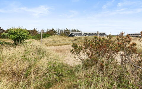 Svenne - 500M from the Sea: Pflanzengemeinschaft, Sonnenlicht, Krautige Pflanze, Garten, Plantage, Landwirtschaft, Bauernhof