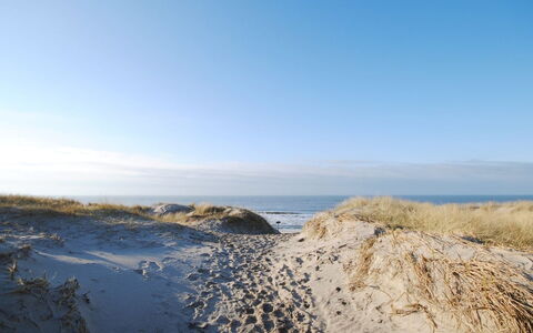 Slava - 250M from the Sea