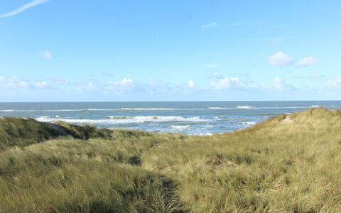 Laetitita - from the Sea: Himmel, Blau, Horizont, Ökoregion, Wolke, Küste, Meer, Küsten Und Ozeanische Forms, Wiese, Ozean