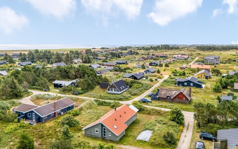 Gedda - 700M from the Sea: Pflanzengemeinschaft, Sonnenlicht, Krautige Pflanze, Garten, Plantage, Landwirtschaft, Bauernhof