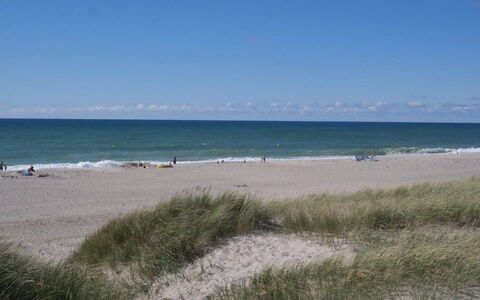 Iines - 200M from the Sea: Blau, Strand, Gewässer, Küste, Natürlichen Umgebung, Horizont, Küsten Und Ozeanische Forms, Meer, Ufer