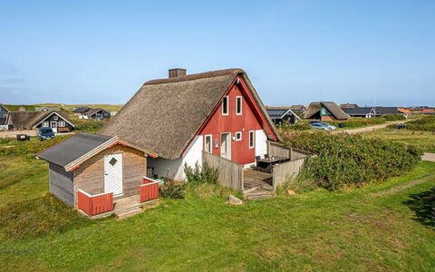 Iines - 200M from the Sea: Pflanzengemeinschaft, Sonnenlicht, Krautige Pflanze, Garten, Plantage, Landwirtschaft, Bauernhof