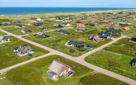 Iines - 200M from the Sea: Pflanzengemeinschaft, Sonnenlicht, Krautige Pflanze, Garten, Plantage, Landwirtschaft, Bauernhof