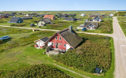 Iines - 200M from the Sea: Pflanzengemeinschaft, Sonnenlicht, Krautige Pflanze, Garten, Plantage, Landwirtschaft, Bauernhof