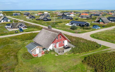 Iines - 200M from the Sea: Pflanzengemeinschaft, Sonnenlicht, Krautige Pflanze, Garten, Plantage, Landwirtschaft, Bauernhof