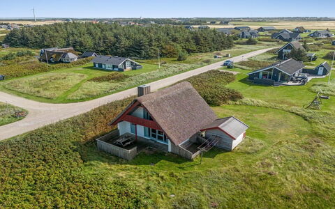 Iines - 200M from the Sea: Pflanzengemeinschaft, Sonnenlicht, Krautige Pflanze, Garten, Plantage, Landwirtschaft, Bauernhof