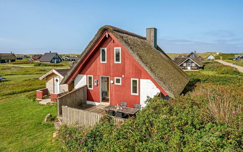 Iines - 200M from the Sea: Pflanzengemeinschaft, Sonnenlicht, Krautige Pflanze, Garten, Plantage, Landwirtschaft, Bauernhof