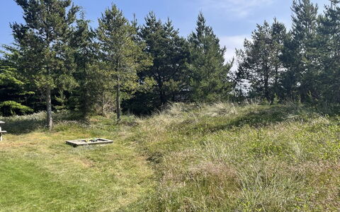 Felicia - 800M from the Sea: Gras, Baum, Natürlichen Umgebung, Vegetation, Wiese, Strauch, Pflanzengemeinschaft, Grundstueck, Einfach, Weide