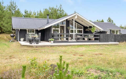 Elayne - 3Km from the Sea: Pflanzengemeinschaft, Sonnenlicht, Krautige Pflanze, Garten, Plantage, Landwirtschaft, Bauernhof