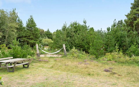 Elayne - 3Km from the Sea: Pflanzengemeinschaft, Sonnenlicht, Krautige Pflanze, Garten, Plantage, Landwirtschaft, Bauernhof