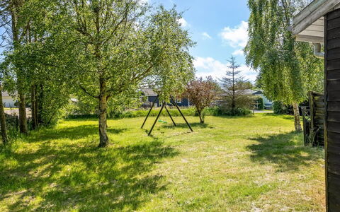 Gerwin - 3Km from the Sea: Pflanzengemeinschaft, Sonnenlicht, Krautige Pflanze, Garten, Plantage, Landwirtschaft, Bauernhof