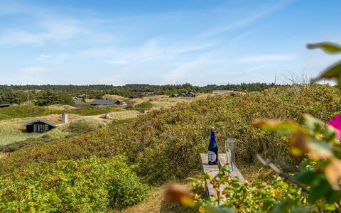 Ejnarine - 300M from the Sea: Himmel, Grün, Vegetation, Strauch, Pflanzengemeinschaft, Landschaft, Grundstueck, Ländliches Gebiet, Ground