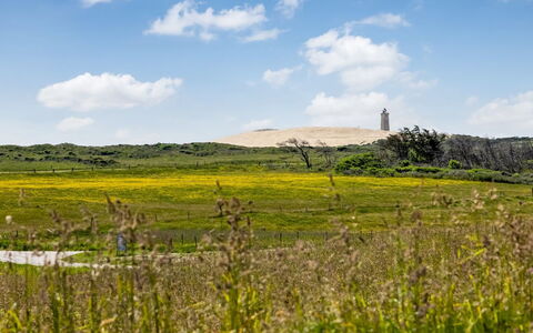 Ger - 200M from the Sea: Himmel, Gras, Grün, Natürlichen Umgebung, Wiese, Vegetation, Ökoregion, Wolke, Natürliche Landschaft