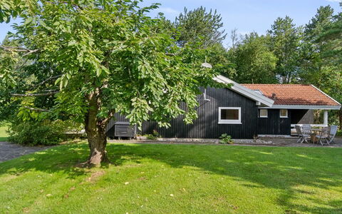 Batsha - 350M from the Sea: Ast, Strauch, Schatten, Rasen, Garten, Hütte, Hinterhof, Garten, Gartenbauten, Landscaping