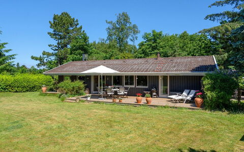 Naira - 1.8Km from the Sea: Holz, Dach, Die Architektur, Zuhause, Haus, Hütte, Abstellgleis, Hartholz, Steigung, Estate