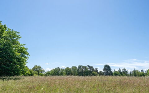 Naira - 1.8Km from the Sea: Holz, Dach, Die Architektur, Zuhause, Haus, Hütte, Abstellgleis, Hartholz, Steigung, Estate