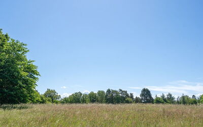 Naira - 1.8Km from the Sea