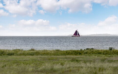 Alexis - 250M from the Sea: Himmel, Boot, Segelboot, Horizont, Ökoregion, Watercraft, Mast, Meer, Segeln