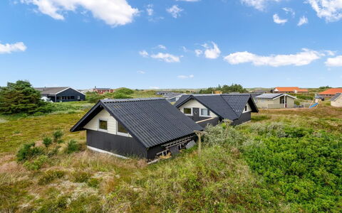 Hildegart - from the Sea: Pflanzengemeinschaft, Sonnenlicht, Krautige Pflanze, Garten, Plantage, Landwirtschaft, Bauernhof