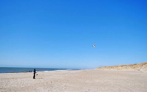 Hildegart - from the Sea: Pflanzengemeinschaft, Sonnenlicht, Krautige Pflanze, Garten, Plantage, Landwirtschaft, Bauernhof