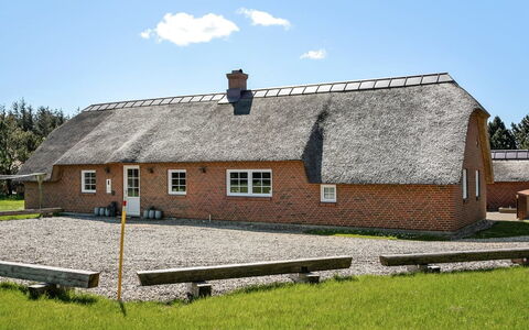 Jorkin - 1.8Km from the Sea: Pflanzengemeinschaft, Sonnenlicht, Krautige Pflanze, Garten, Plantage, Landwirtschaft, Bauernhof