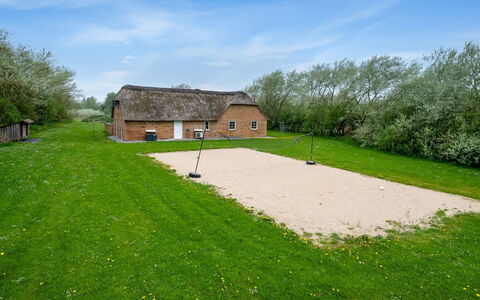 Benthe - from the Sea: Pflanzengemeinschaft, Sonnenlicht, Krautige Pflanze, Garten, Plantage, Landwirtschaft, Bauernhof