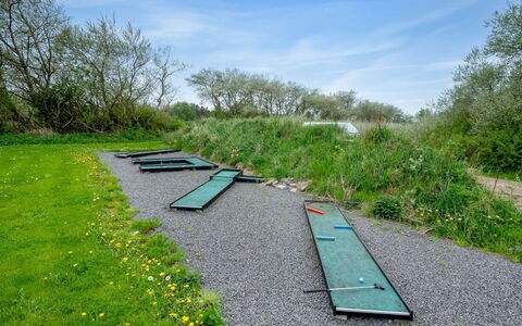 Benthe - from the Sea: Pflanzengemeinschaft, Sonnenlicht, Krautige Pflanze, Garten, Plantage, Landwirtschaft, Bauernhof