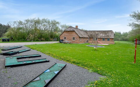 Benthe - from the Sea: Pflanzengemeinschaft, Sonnenlicht, Krautige Pflanze, Garten, Plantage, Landwirtschaft, Bauernhof