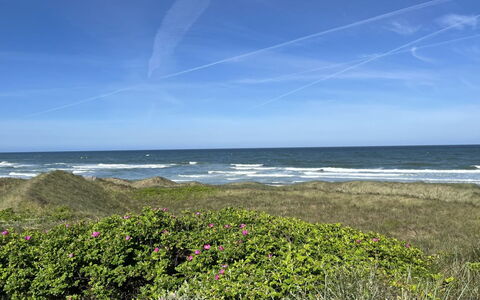 Carelle - 300M from the Sea: Blau, Wasser, Gewässer, Grün, Natürlichen Umgebung, Küste, Horizont, Meer, Sommer