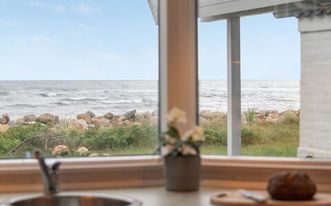 Pascal - 25M from the Sea: Haus, Zuhause, Dach, Hütte, Strauch, Abstellgleis, Tür, Garten, Bauernhaus