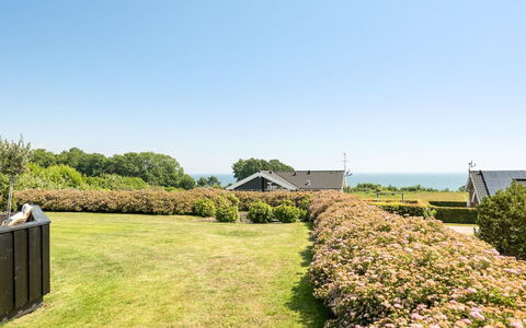 Fridtjof - 100M from the Sea: Himmel, Strauch, Pflanzengemeinschaft, Ground, Garten, Hecke, Landscaping, Plantage
