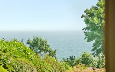 Fridtjof - 100M from the Sea: Grün, Blatt, Vegetation, Horizont, Meer, Pflanzengemeinschaft, Ozean, Küsten Und Ozeanische Forms, Küste, Tropen