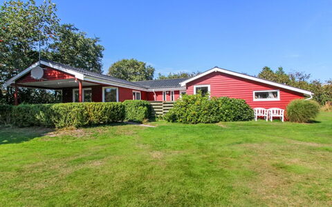 Gudni - 250M from the Sea: Pflanzengemeinschaft, Sonnenlicht, Krautige Pflanze, Garten, Plantage, Landwirtschaft, Bauernhof