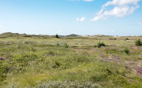 Dorothea - 450M to the Fjord: Himmel, Blau, Gras, Wiese, Natürlichen Umgebung, Ökoregion, Vegetation, Wolke, Einfach, Horizont