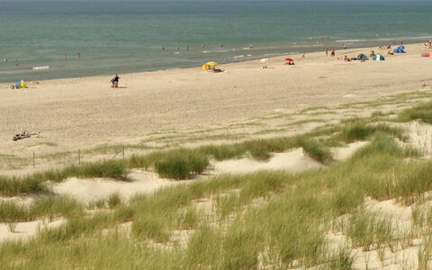 Dorothea - 450M to the Fjord: Natürlichen Umgebung, Strand, Sand, Ökoregion, Küste, Sommer, Ufer, Meer, Küsten Und Ozeanische Forms, Ozean