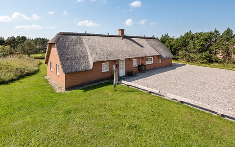 Aane - 1.8Km from the Sea: Pflanzengemeinschaft, Sonnenlicht, Krautige Pflanze, Garten, Plantage, Landwirtschaft, Bauernhof