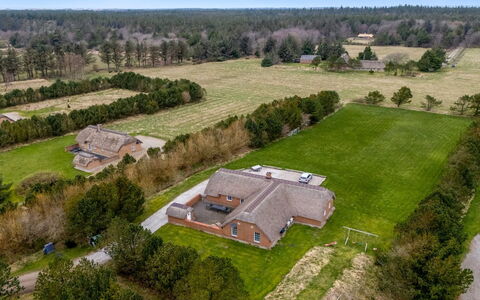 Aane - 1.8Km from the Sea: Pflanzengemeinschaft, Sonnenlicht, Krautige Pflanze, Garten, Plantage, Landwirtschaft, Bauernhof