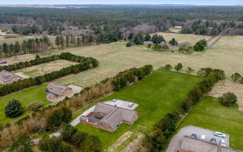Aane - 1.8Km from the Sea: Pflanzengemeinschaft, Sonnenlicht, Krautige Pflanze, Garten, Plantage, Landwirtschaft, Bauernhof