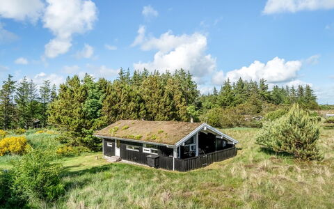 Anthonia - 1.6Km from the Sea: Pflanzengemeinschaft, Sonnenlicht, Krautige Pflanze, Garten, Plantage, Landwirtschaft, Bauernhof